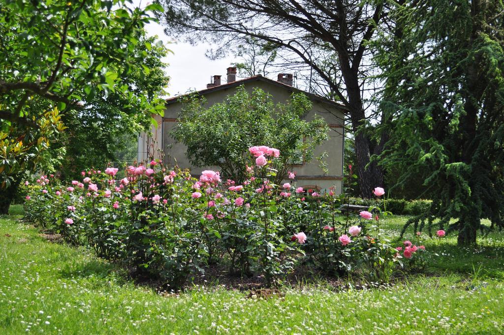 Domaine De Belcayre Bed & Breakfast Montauban Eksteriør bilde